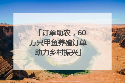 订单助农，60万只甲鱼养殖订单助力乡村振兴