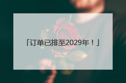 订单已排至2029年！