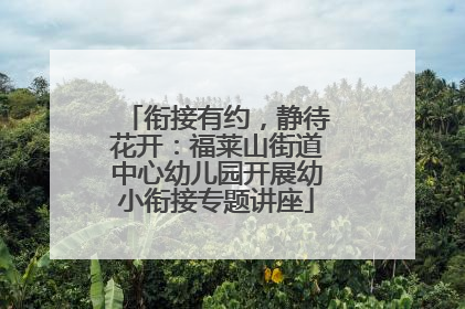 衔接有约，静待花开：福莱山街道中心幼儿园开展幼小衔接专题讲座
