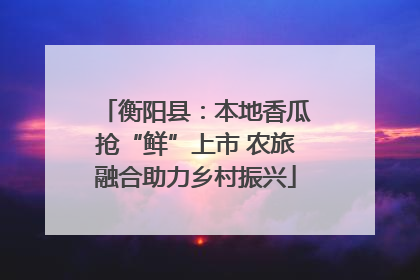 衡阳县：本地香瓜抢“鲜”上市 农旅融合助力乡村振兴