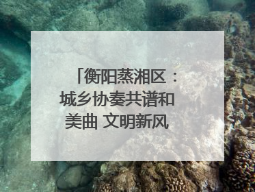 衡阳蒸湘区：城乡协奏共谱和美曲 文明新风劲拂蒸湘地