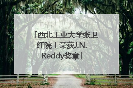 西北工业大学张卫红院士荣获J.N.Reddy奖章