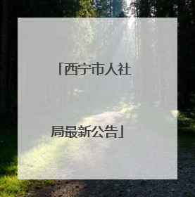 西宁市人社局最新公告