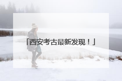 西安考古最新发现！