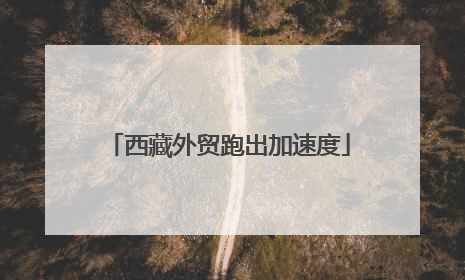 西藏外贸跑出加速度