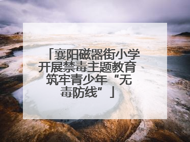 襄阳磁器街小学开展禁毒主题教育 筑牢青少年“无毒防线”