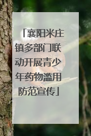 襄阳米庄镇多部门联动开展青少年药物滥用防范宣传