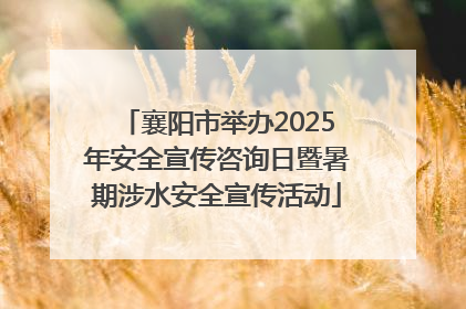 襄阳市举办2025年安全宣传咨询日暨暑期涉水安全宣传活动