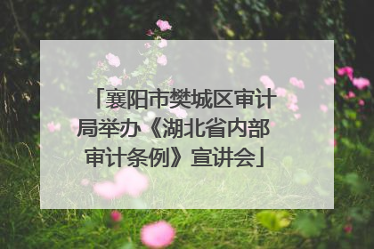 襄阳市樊城区审计局举办《湖北省内部审计条例》宣讲会