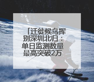 迁徙候鸟挥别深圳北归：单日监测数量最高突破2万只