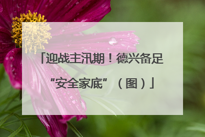 迎战主汛期！德兴备足“安全家底”（图）