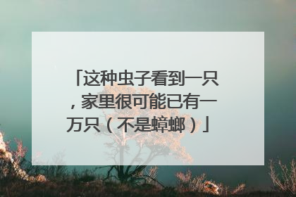 这种虫子看到一只，家里很可能已有一万只（不是蟑螂）