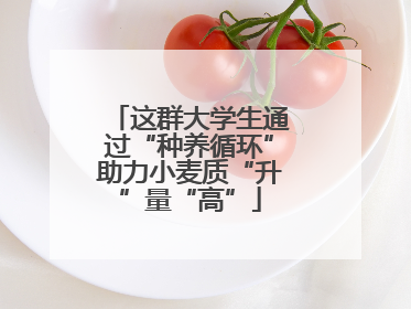 这群大学生通过“种养循环”助力小麦质“升”量“高”