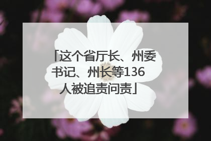 这个省厅长、州委书记、州长等136人被追责问责