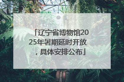 辽宁省博物馆2025年暑期延时开放，具体安排公布