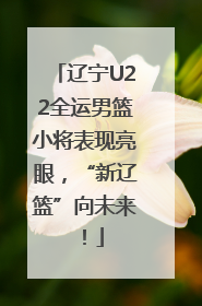 辽宁U22全运男篮小将表现亮眼，“新辽篮”向未来！