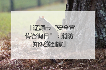 辽源市“安全宣传咨询日”：消防知识送到家