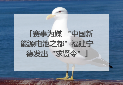 赛事为媒 “中国新能源电池之都”福建宁德发出“求贤令”