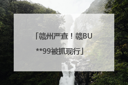 赣州严查！赣BU**99被抓现行