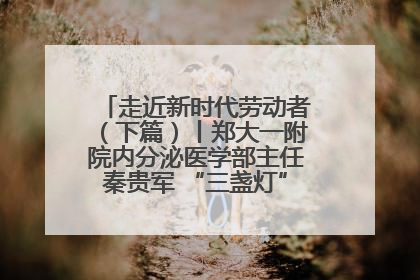 走近新时代劳动者（下篇）丨郑大一附院内分泌医学部主任秦贵军 “三盏灯”下的医者人生