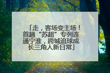 走，客场变主场！首趟“苏超”专列连通宁淮，跨城追球成长三角人新日常