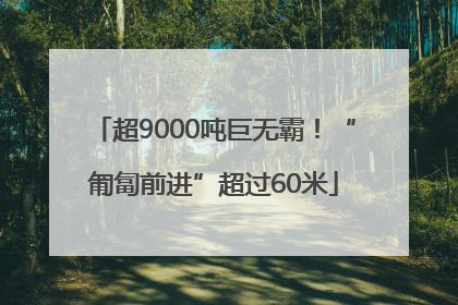 超9000吨巨无霸！“匍匐前进”超过60米
