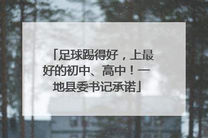 足球踢得好，上最好的初中、高中！一地县委书记承诺