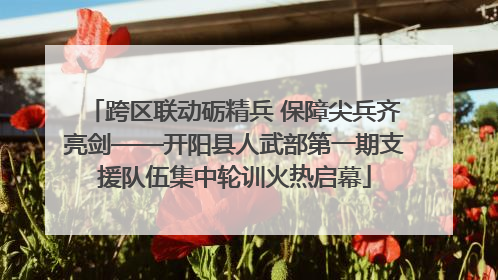 跨区联动砺精兵 保障尖兵齐亮剑——开阳县人武部第一期支援队伍集中轮训火热启幕