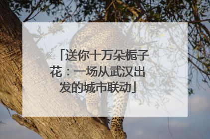 送你十万朵栀子花：一场从武汉出发的城市联动