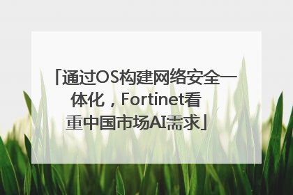 通过OS构建网络安全一体化，Fortinet看重中国市场AI需求