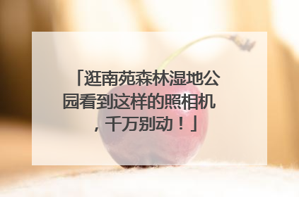 逛南苑森林湿地公园看到这样的照相机，千万别动！