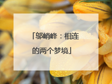 邬峭峰：相连的两个梦境