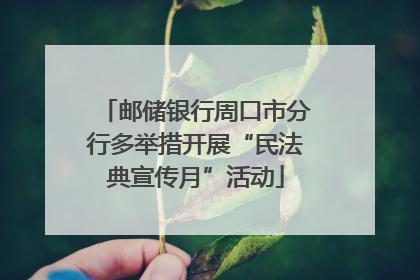 邮储银行周口市分行多举措开展“民法典宣传月”活动