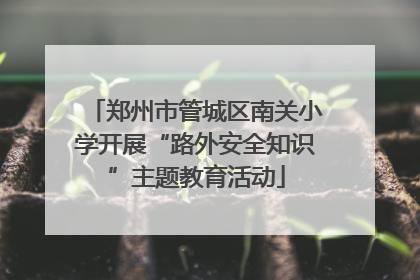 郑州市管城区南关小学开展“路外安全知识”主题教育活动