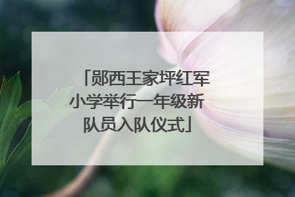 郧西王家坪红军小学举行一年级新队员入队仪式