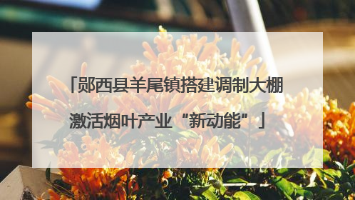 郧西县羊尾镇搭建调制大棚激活烟叶产业“新动能”