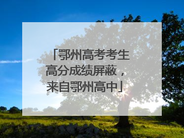 鄂州高考考生高分成绩屏蔽，来自鄂州高中