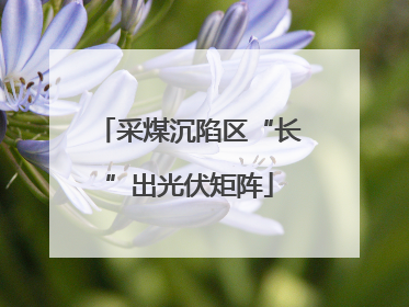 采煤沉陷区“长”出光伏矩阵