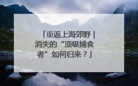 重返上海郊野｜消失的“顶级捕食者”如何归来？