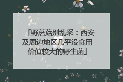 野蘑菇别乱采：西安及周边地区几乎没食用价值较大的野生菌