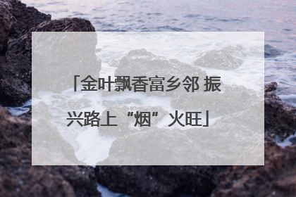 金叶飘香富乡邻 振兴路上“烟”火旺