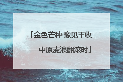 金色芒种·豫见丰收——中原麦浪翻滚时