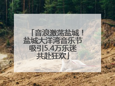音浪激荡盐城！盐城大洋湾音乐节吸引5.4万乐迷共赴狂欢