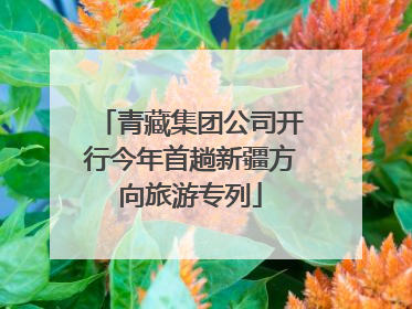 青藏集团公司开行今年首趟新疆方向旅游专列