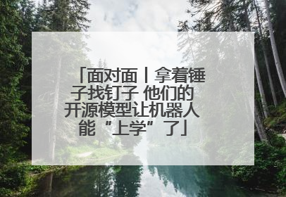 面对面丨拿着锤子找钉子 他们的开源模型让机器人能“上学”了