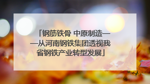 钢筋铁骨 中原制造——从河南钢铁集团透视我省钢铁产业转型发展