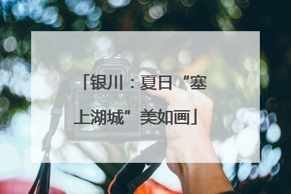 银川：夏日“塞上湖城”美如画