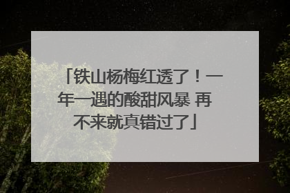 铁山杨梅红透了！一年一遇的酸甜风暴 再不来就真错过了