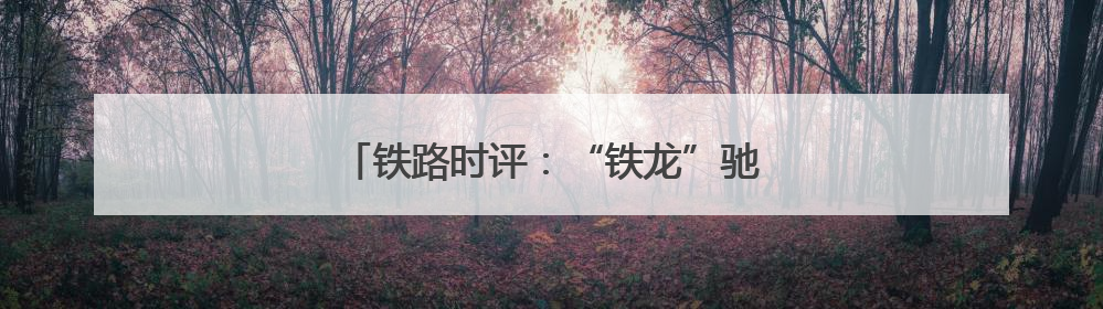 铁路时评：“铁龙”驰骋解码经济“脉动”