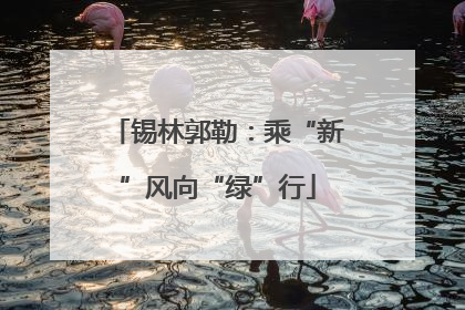 锡林郭勒：乘“新”风向“绿”行